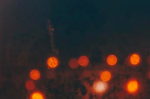 Drops On Window Stock Photos