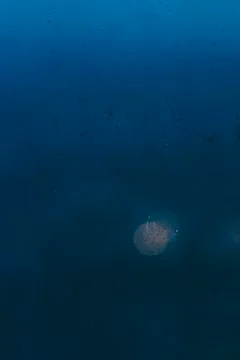 Drops On Window Stock Photos