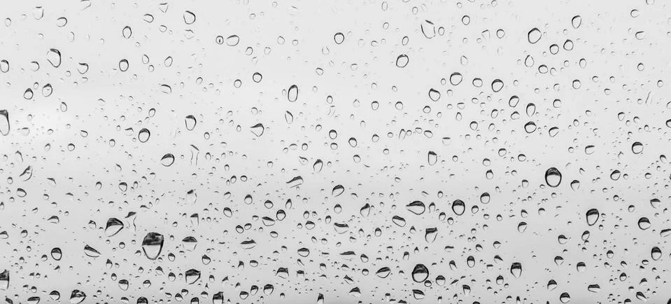 Drops On The Window Stock Photos