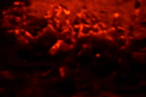 Drops4 Stock Footage 100205