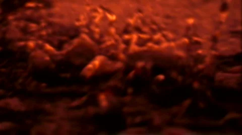 Drops4 스톡 동영상 112118