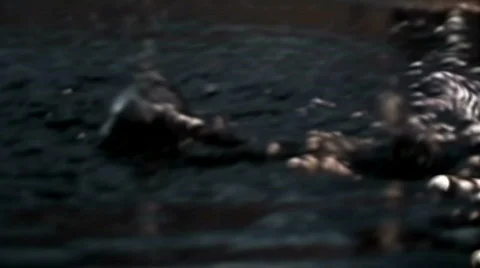 Drops5 Stock Footage 112133