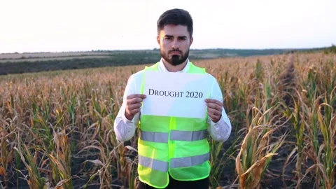 Drought 2020. Concept of global pollution. Stock Footage 140186854
