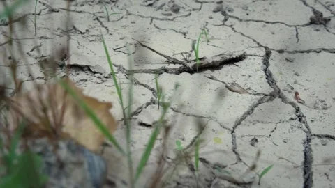Drought and Cracked Ground Texture in Dry Soil Stock Footage 337878320