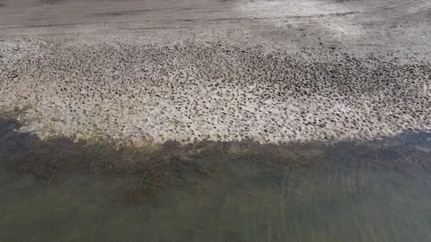 Drought And Dried Up Lake Stock-Footage 333336894