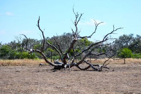 Drought is approaching Stock Photos