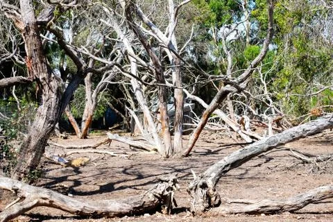 Drought is approaching Stock Photos