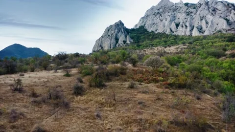 Drought Boundary. An oasis sheltered from the sun, the Steppe passes into the Stock Footage 220996031