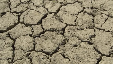 Drought caused by climate change Drought concept dried cracked soils thirst heat 스톡 동영상 334029803