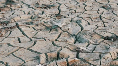 Drought caused by climate change Drought concept dried cracked soils thirst heat 스톡 동영상 334029843
