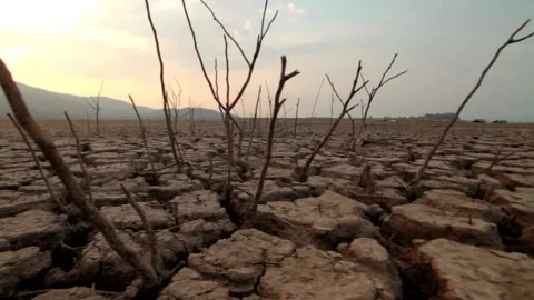 Drought caused by climate change Drought concept dried cracked soils thirst heat 스톡 동영상 334029926