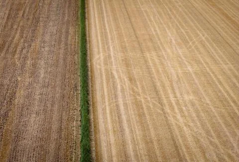 Drought causes problems for arable farming in The Netherlands, Dodewaard - 07 Au Photos
