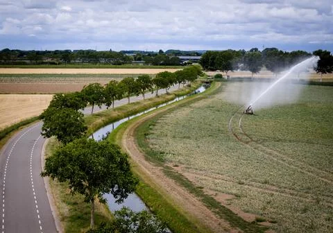 Drought causes problems for arable farming in The Netherlands, Dodewaard - 07 Au Photos