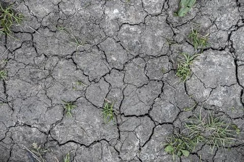 Drought causing cracks in the soil as a result of climate change Stock-Fotos