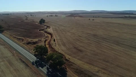 Drought conditons Stock Footage 312126541