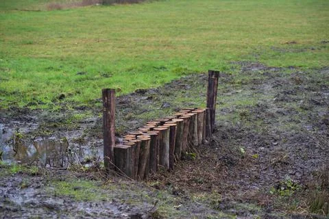 Drought control in nature Foto stock