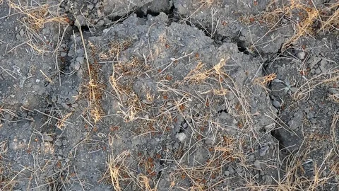 Drought cracked and splitting fields, arid fields, drought-stricken lands, Vídeos de archivo 101352365