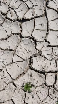 Drought creates deep cracks in soil Stock Photos
