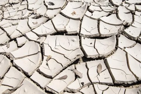 Drought creates deep cracks in soil Stock Photos