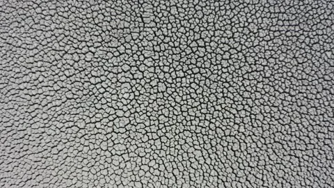 Drought deep cracked earth surface lit by the sun Stock Footage 138750215