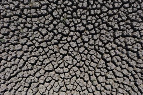 Drought deep cracked earth surface lit by the sun Stock-Fotos
