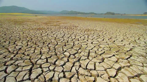 Drought disaster. Stock Footage 35514955