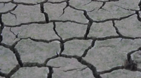 Drought disaster Stock Footage 45849818