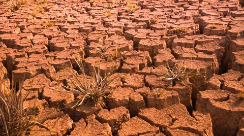Drought disaster. Stock Footage 68444955