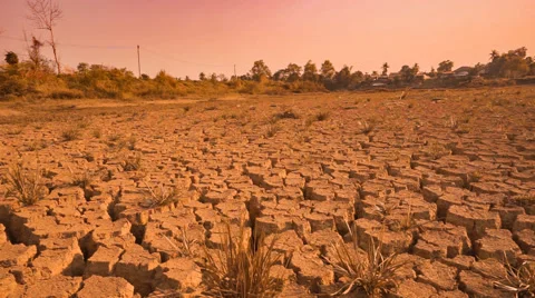 Drought disaster. Stock Footage 68445183