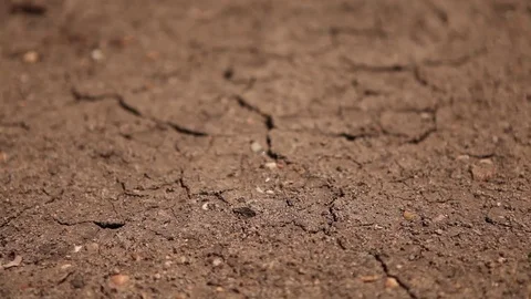 Drought - dried up dams Stock Footage 72077130