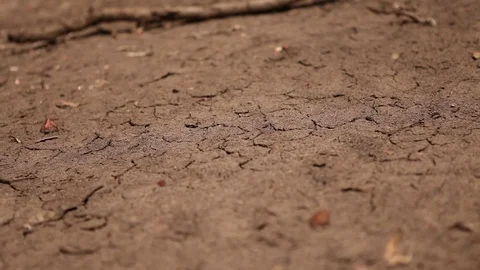 Drought - dried up dams Stock Footage 72077444