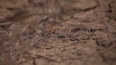 Drought - dried up dams Stock Footage 72077750