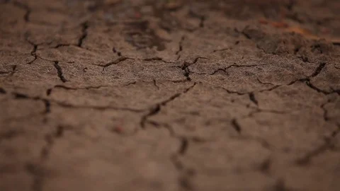 Drought - dried up dams Stock Footage 72077981