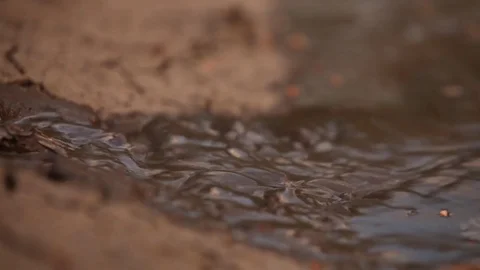 Drought - dried up dams Stock Footage 72078067