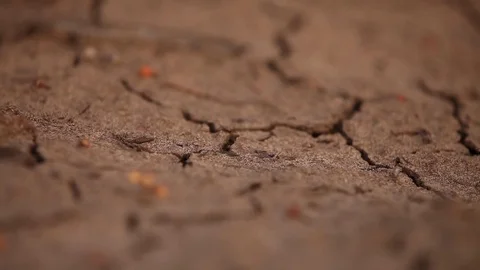 Drought - dried up dams Stock Footage 72078517