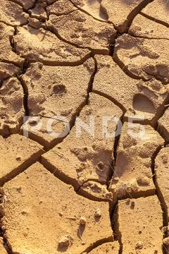 Drought. Dry bottom of the lake. Dead dry land from drought. Dry fissured dro Stock Photos