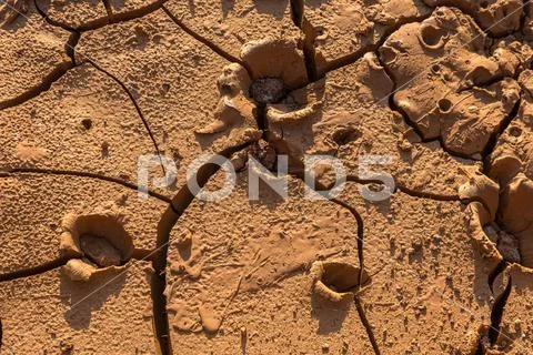 Drought. Dry bottom of the lake. Dead dry land from drought. Dry fissured dro Stock Photos