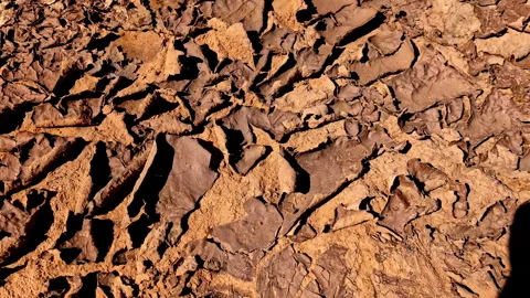 Drought dry soil, no rain natural disaster, land with no water irrigation Stock Footage 281631196