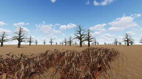 Drought dry trees dry grass desert climate 3d render Stock Illustration