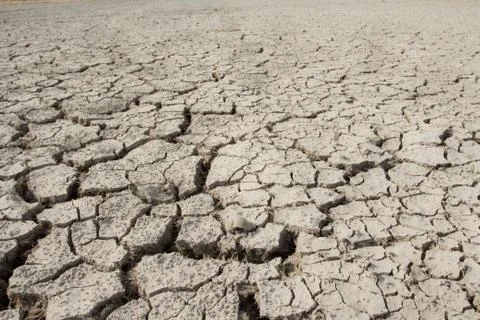 Drought earth with cracks. Stock Photos