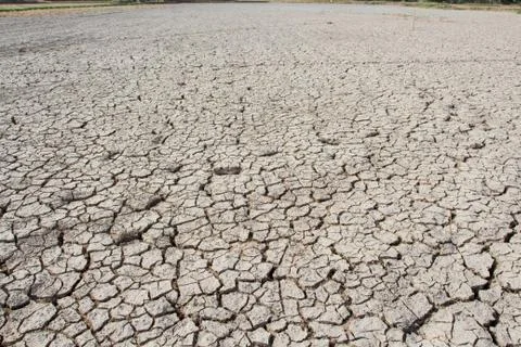 Drought earth with cracks. Stock Photos