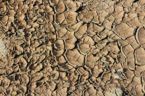 Drought earth with cracks. Stock Photos