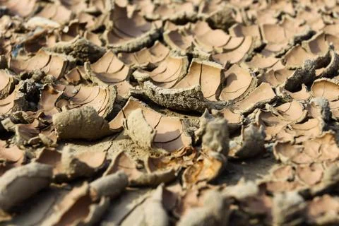 Drought earth with cracks. Stock Photos