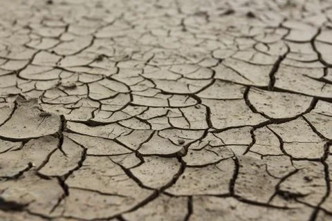 Drought earth with cracks. Stock Photos