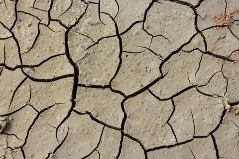Drought earth with cracks. Stock Photos