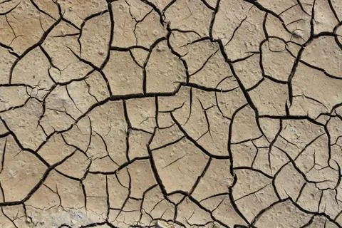 Drought earth with cracks. Stock Photos