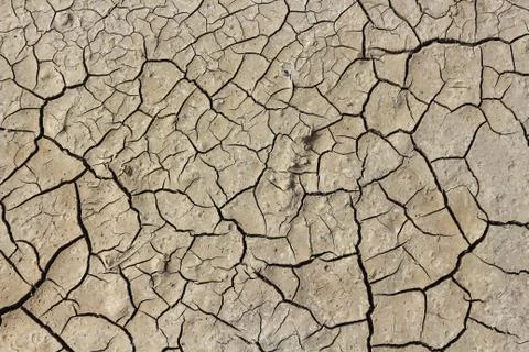 Drought earth with cracks. Stock Photos