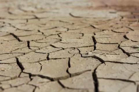 Drought earth with cracks. Stock Photos