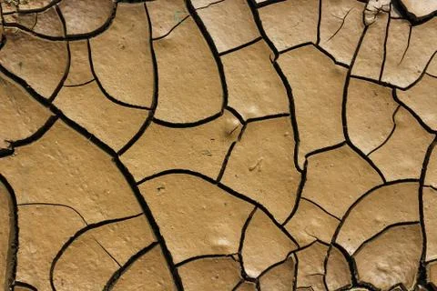 Drought earth with cracks. Foto stock