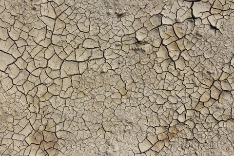 Drought earth with cracks. Stock Photos